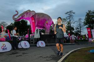 BIB: 
                            <button type="button" onclick="openModal(26529518)" class="btn btn-primary btn-sm float-right btn-popup" data-toggle="modal" data-target=".modal-high-quality">
                        <i class="fas fa-shopping-cart"></i> Add to Cart
                    </button>
                                            <button type="button" onclick="isThisMe(26529518, true)" class="btn btn-success btn-sm float-right btn-popup btn-isme hidden" data-toggle="tooltip" data-placement="bottom" title="นี่คือรูปของคุณใช่ไหม คลิกที่นี่เพื่อเอาเข้าอัลบั้ม">
                        <i class="fas fa-plus"></i> Add to album
                    </button>
                    <button type="button" onclick="isThisMe(26529518, false)" class="btn btn-warning btn-sm float-right btn-popup btn-isnotme hidden">
                        <i class="fas fa-ban"></i> Remove from album
                    </button>